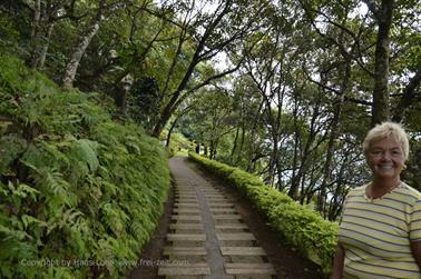 Blackberry Hills Hotel, Munnar_DSC5826_H600